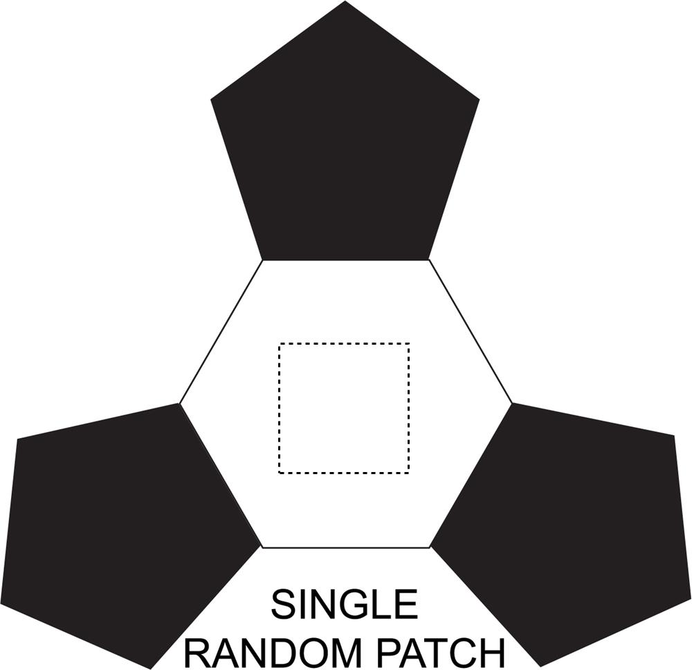 SINGLE RANDOM PATCH