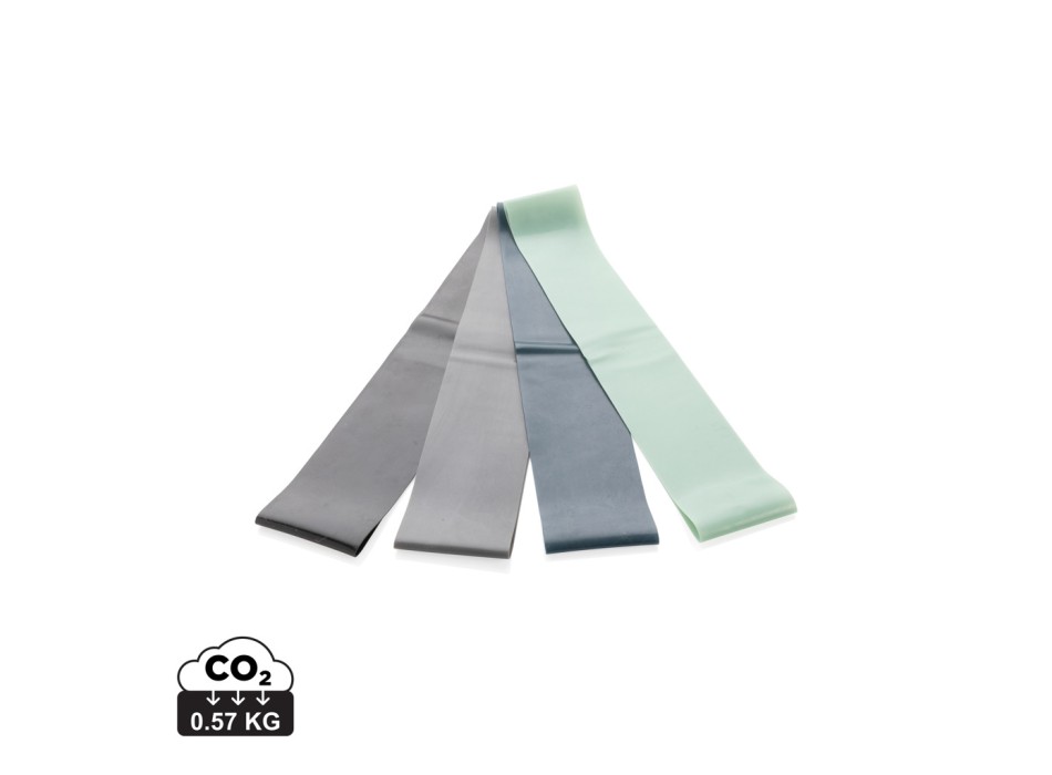 4 bande elastiche fitness in custodia FullGadgets.com