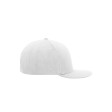 6 Panel Pro Cap Style FullGadgets.com