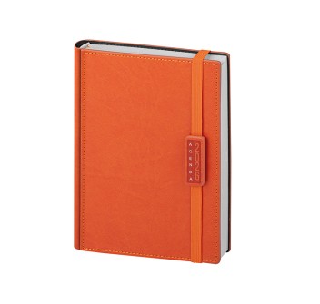 AGENDA GIORNALIERA FullGadgets.com