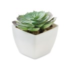 ARTIECHE - Mini pianta artificiale FullGadgets.com