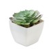 ARTIECHE - Mini pianta artificiale FullGadgets.com