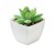 ARTIGRAP - Mini pianta artificiale