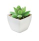 ARTIGRAP - Mini pianta artificiale FullGadgets.com