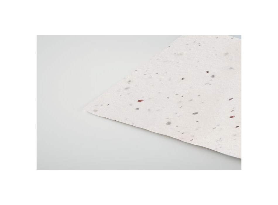 ASIDA - Biglietto da visita con semi di FullGadgets.com