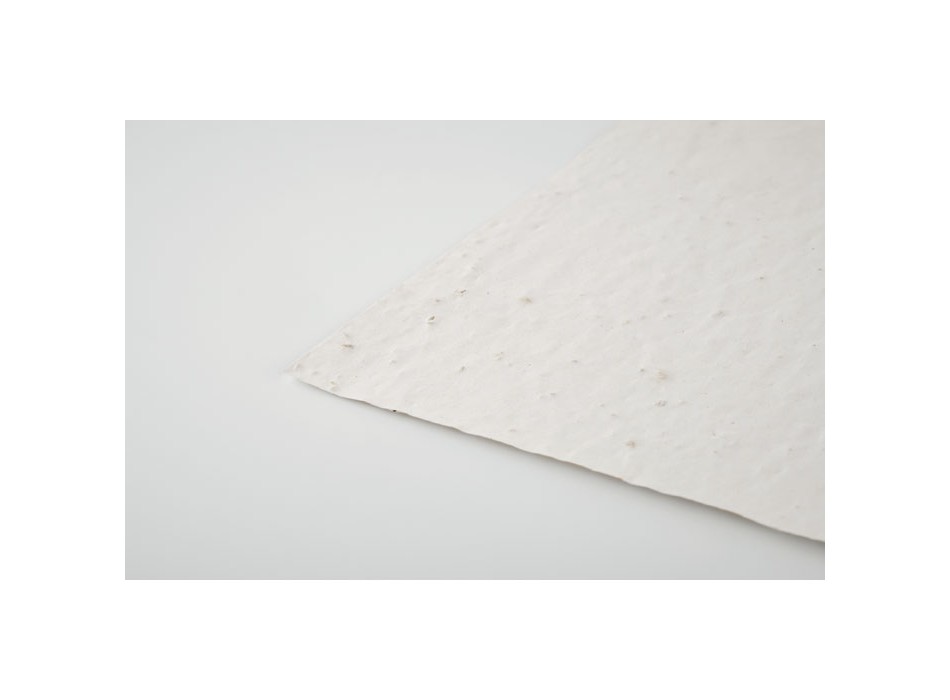 ASIDE - Foglio A5 in carta con semi FullGadgets.com