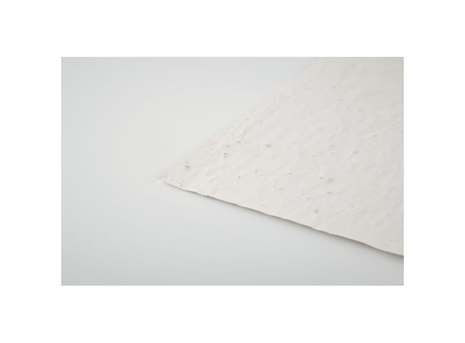 ASIDO - Foglio A6 in carta con semi FullGadgets.com