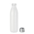 ASPEN GLASS - Bottiglia in vetro 500 ml FullGadgets.com