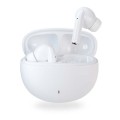 Auricolari True Wireless Boompods Echowave