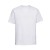 Authentic Heavyweight T