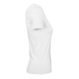 B&C #E190 /Women FullGadgets.com