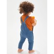 Baby Rocks Denim Dungarees FullGadgets.com