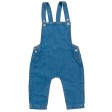 Baby Rocks Denim Dungarees FullGadgets.com