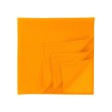 Bandana goal-S FullGadgets.com