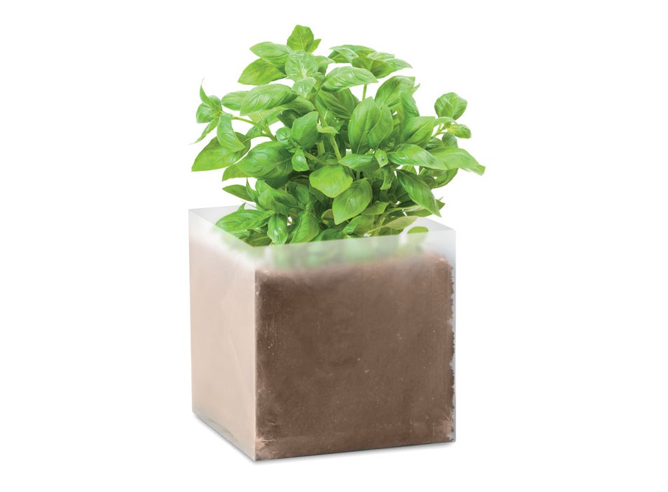 BASIL - Semi di basilico FullGadgets.com
