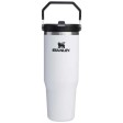 Bicchiere isolato Stanley IceFlow™ 2.0 da 890 ml in acciaio inox con cannuccia ribaltabile FullGadgets.com
