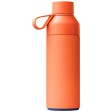 Borraccia da 500 ml con isolamento sottovuoto Ocean Bottle FullGadgets.com