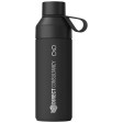 Borraccia da 500 ml con isolamento sottovuoto Ocean Bottle FullGadgets.com