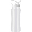 Borraccia in acciaio inox, capacità 600 ml Serena FullGadgets.com