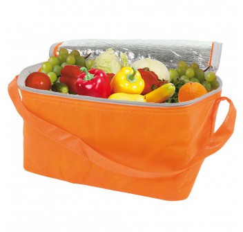 Borsa frigo in TNT, con interno argentato FullGadgets.com