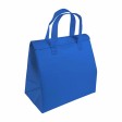 Borsa frigo in TNT laminato 100 g/m2, chiusura con velcro FullGadgets.com