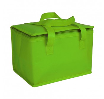 Borsa termica in tnt laminato e interno argentato FullGadgets.com