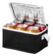 Borsa termica Spectrum per 6 lattine - 4L FullGadgets.com