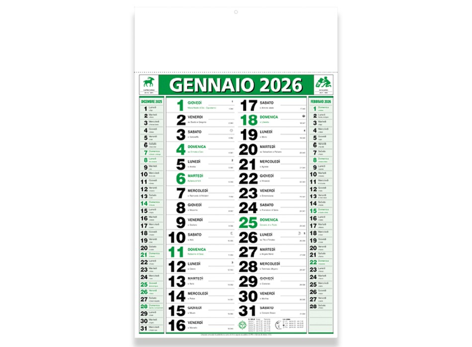 Calendario 2026 da muro mensile bicolore, 12 fogli, su carta patinata, termosaldato FullGadgets.com