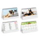 CANI E GATTI FullGadgets.com