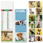 CANI E GATTI FullGadgets.com