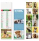 CANI E GATTI FullGadgets.com