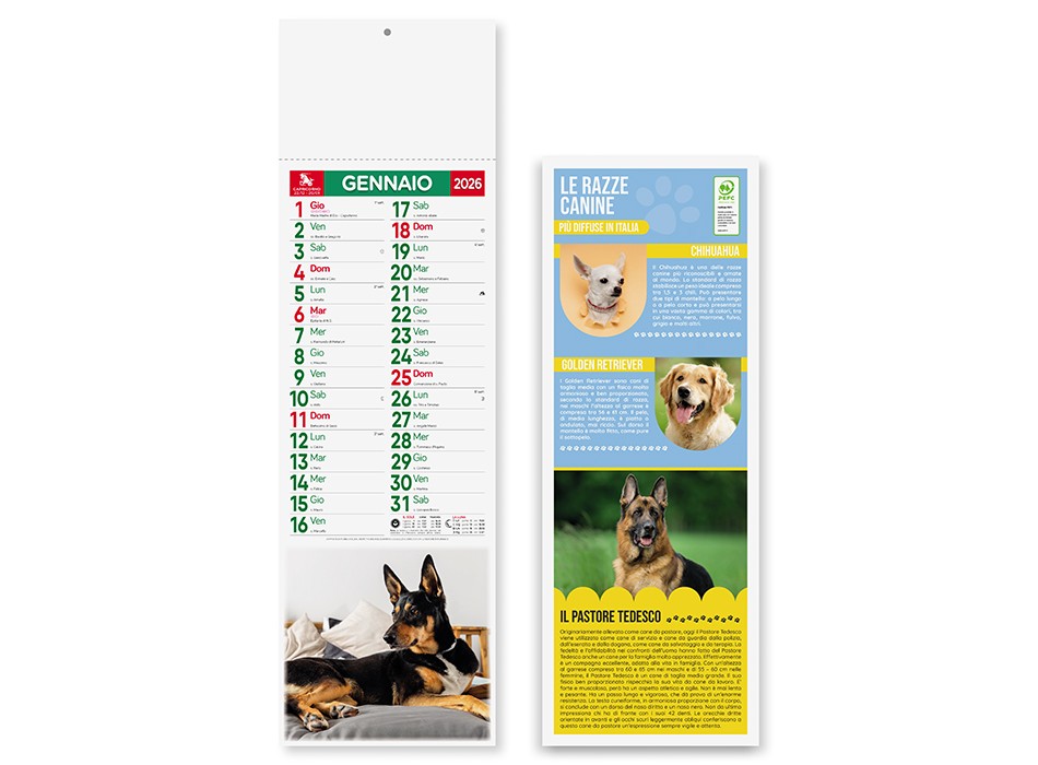 CANI E GATTI FullGadgets.com