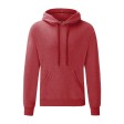 Classic Hooded Sweat FullGadgets.com