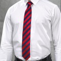 Cravatta Club Stripe 100% Poliestere Personalizzabile |Premier