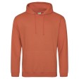 College Hoodie - Felpa cappuccio FullGadgets.com
