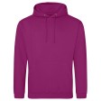 College Hoodie - Felpa cappuccio FullGadgets.com