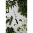 Coltello VINGA Kaiser Santoku FullGadgets.com