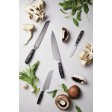 Coltello VINGA Kaiser Santoku FullGadgets.com