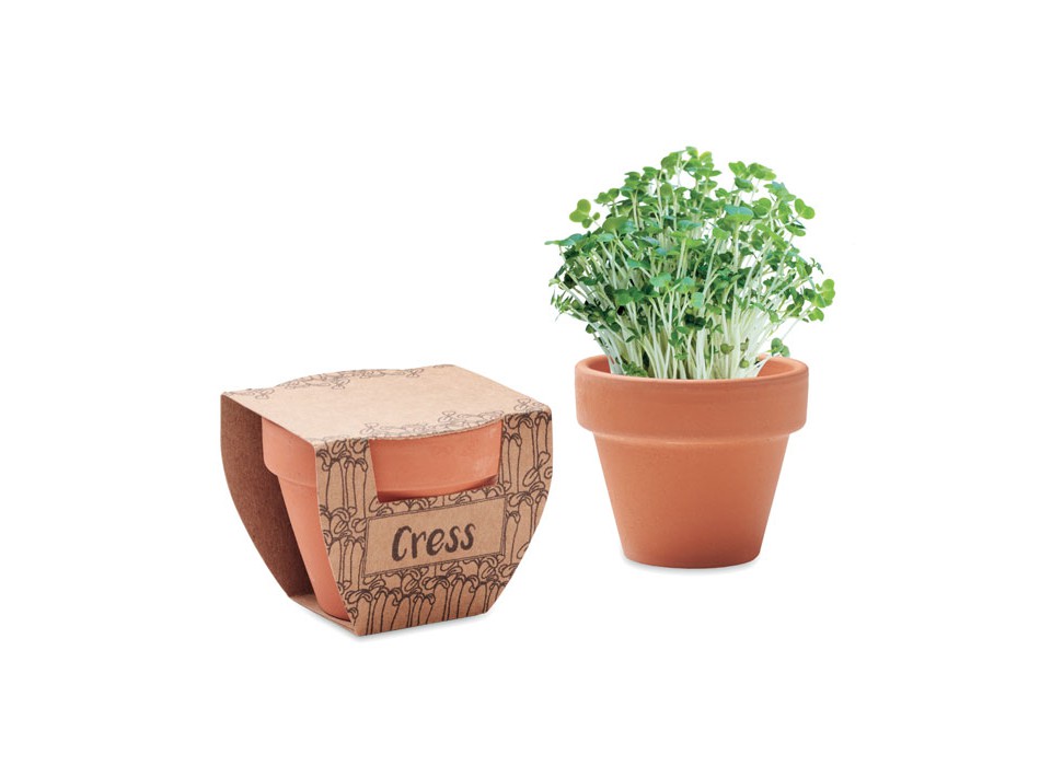 CRESS POT - Semi di crescione in vaso FullGadgets.com