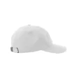 Dad Hat Destroyed-S FullGadgets.com