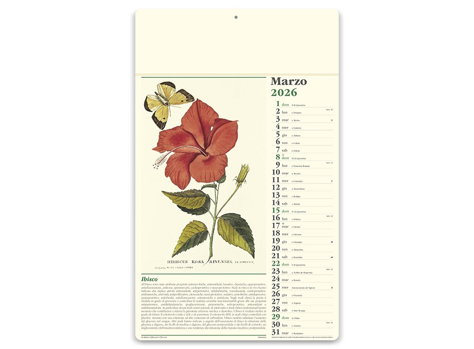 ERBORISTERIA FullGadgets.com