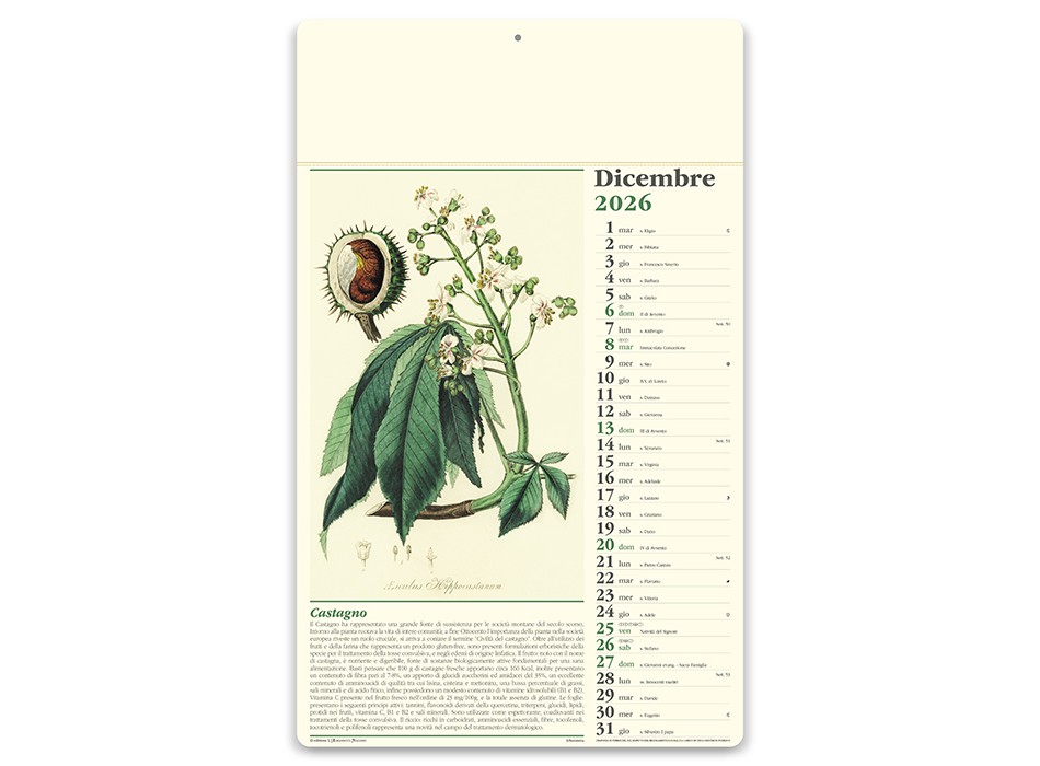 ERBORISTERIA FullGadgets.com