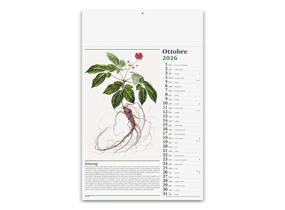 ERBORISTERIA FullGadgets.com