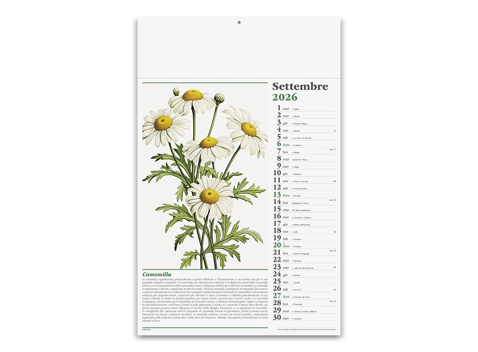 ERBORISTERIA FullGadgets.com