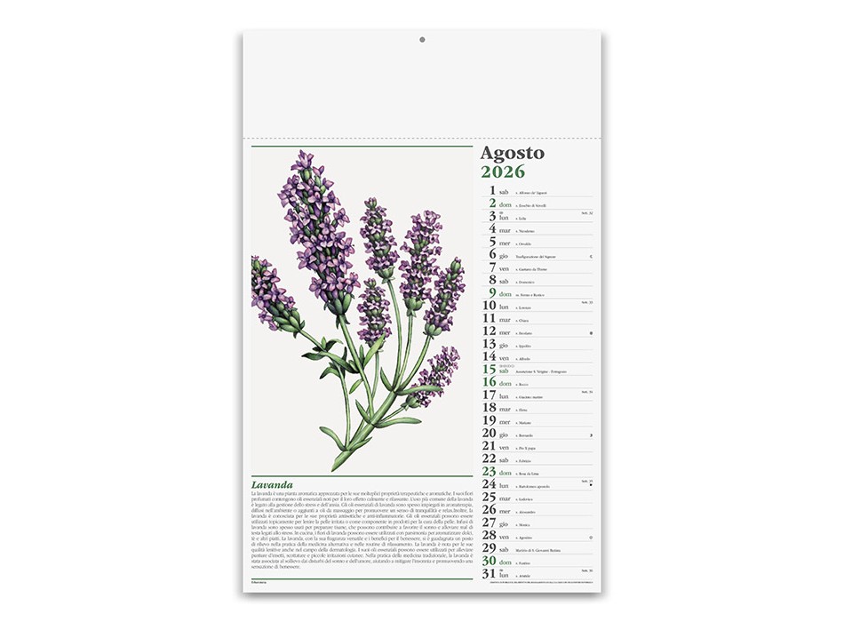 ERBORISTERIA FullGadgets.com