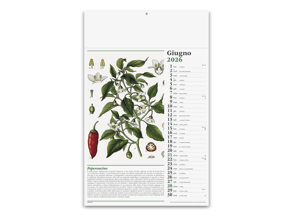 ERBORISTERIA FullGadgets.com