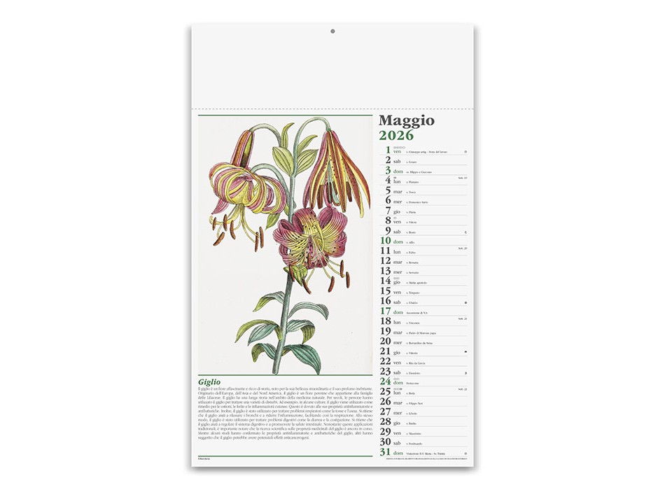 ERBORISTERIA FullGadgets.com