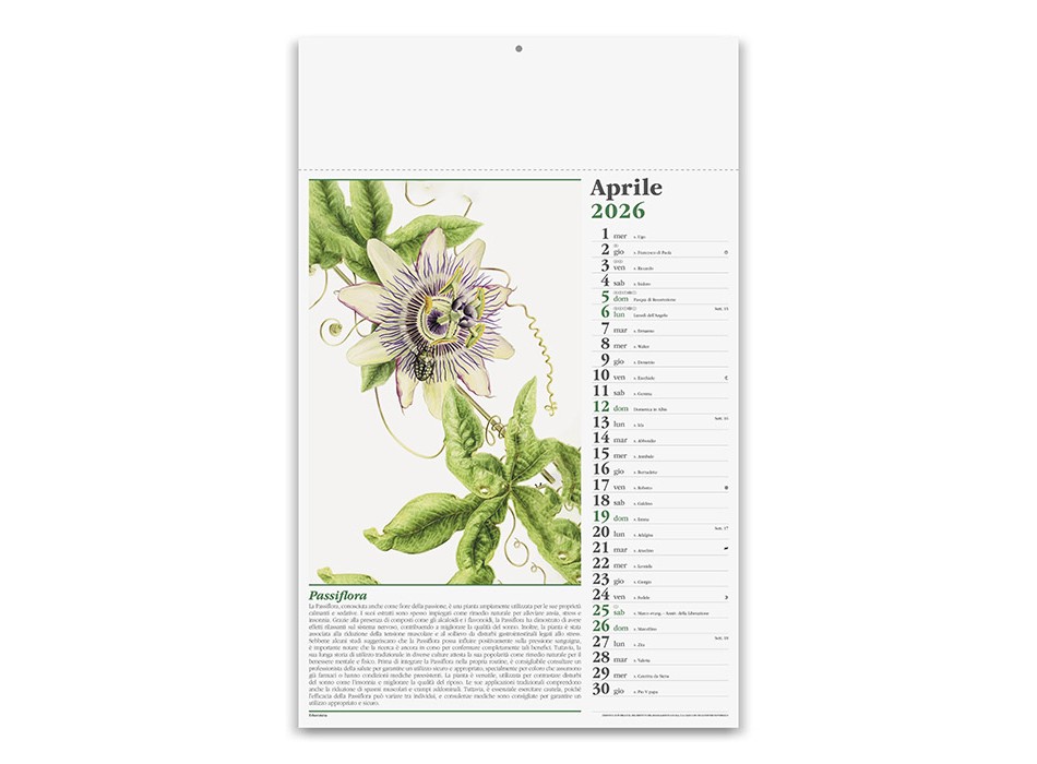 ERBORISTERIA FullGadgets.com