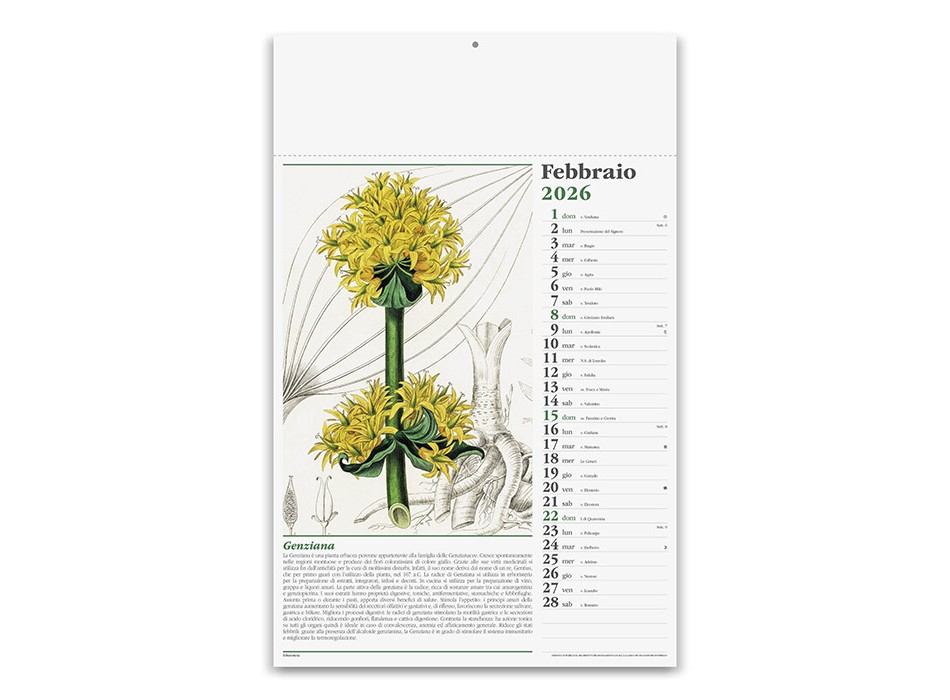 ERBORISTERIA FullGadgets.com