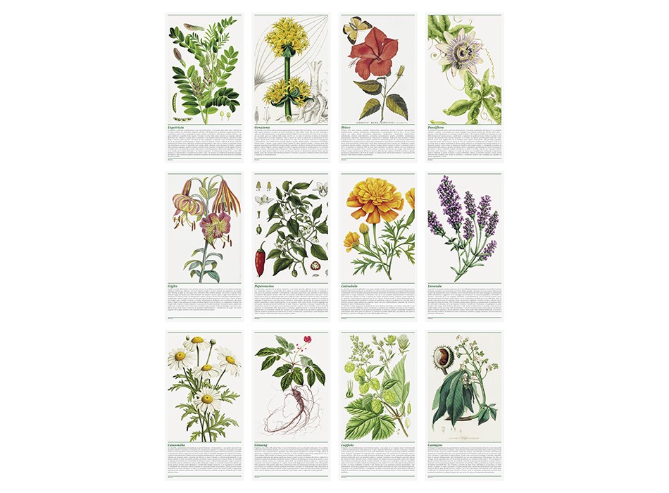 ERBORISTERIA FullGadgets.com